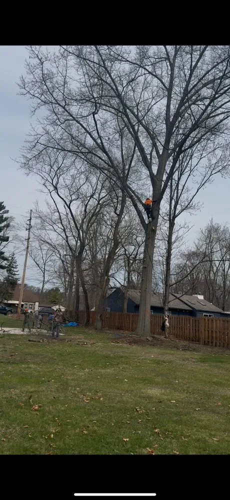 Reliable residential landscaping in Pontiac, MI - Garcia Landscape & Tree service