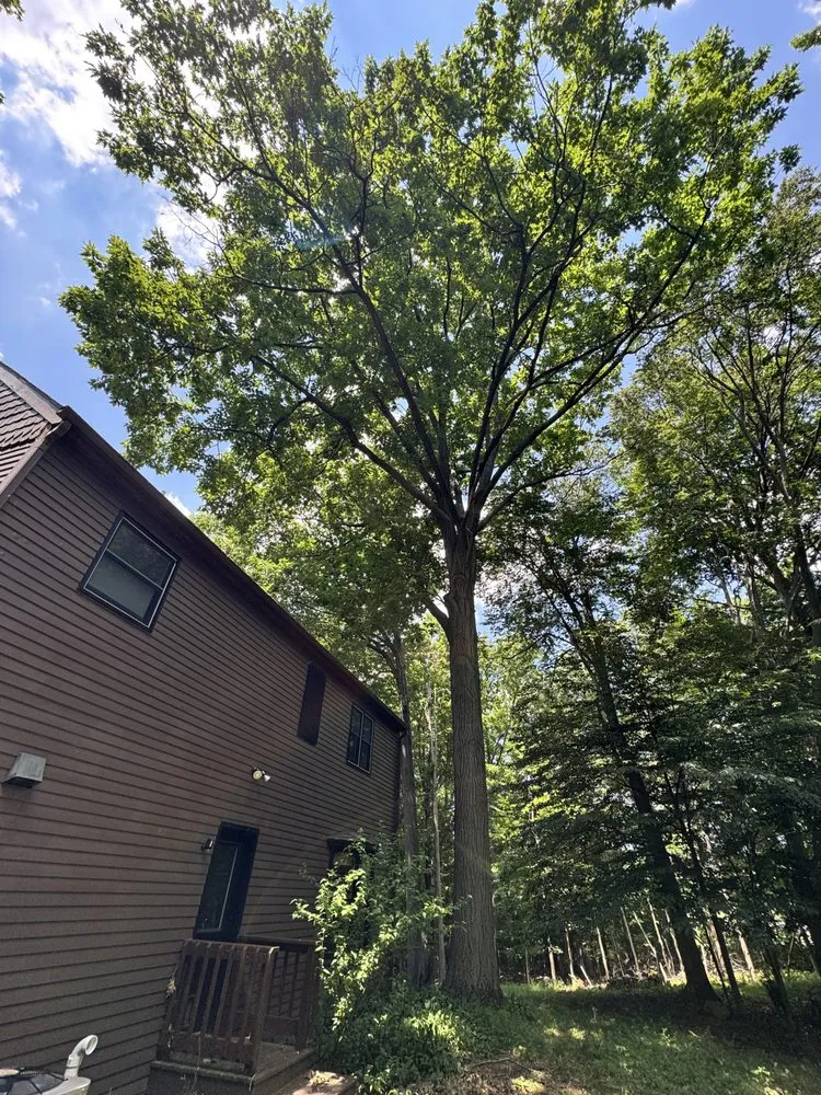 Expert landscape design for residential properties in Pontiac, MI by Garcia Landscape & Tree service