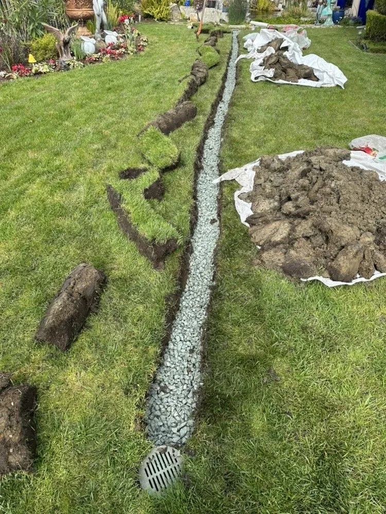 Top-rated yard maintenance experts serving Tracy, CA - Garcia Landscape and Irrigation Technician