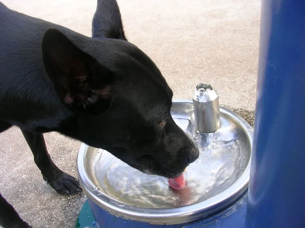 Local garden landscaping experts serving Tracy, CA - Garcia Landscape and Irrigation Technician