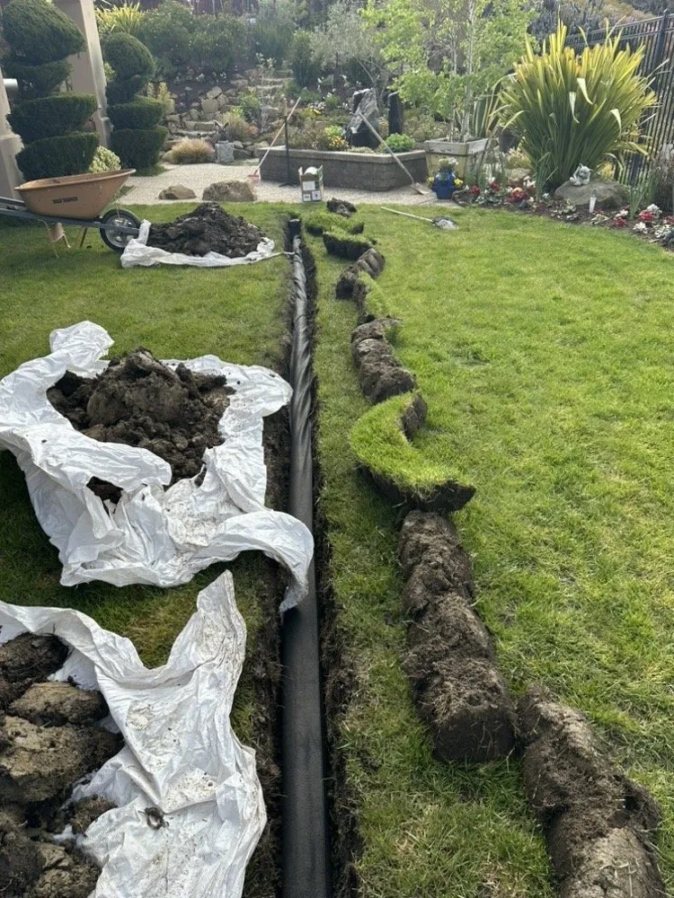 Expert landscape installation for year-round maintenance in Tracy, CA by Garcia Landscape and Irrigation Technician