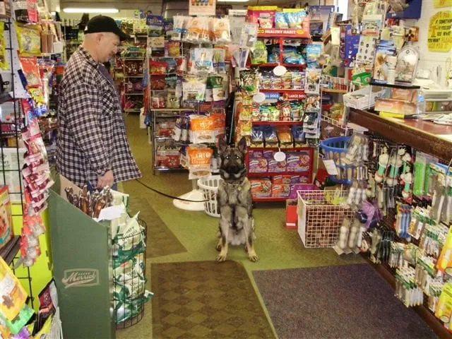 Reliable landscape design experts serving Tracy, CA - Garcia Landscape and Irrigation Technician