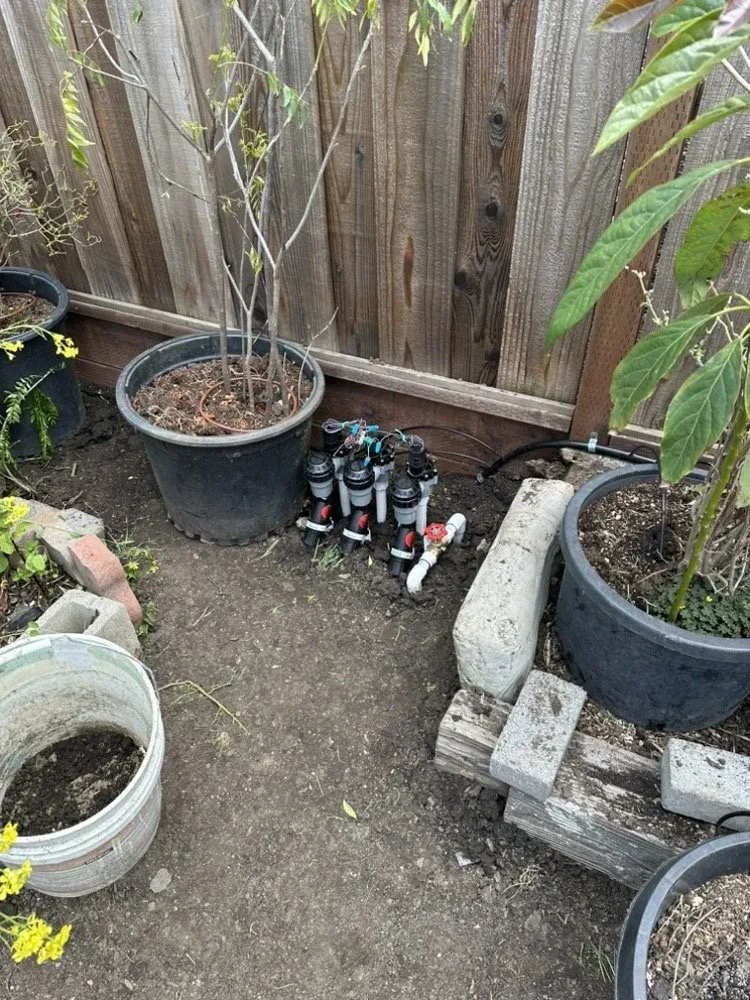 Affordable yard maintenance with custom design in Tracy, CA by Garcia Landscape and Irrigation Technician