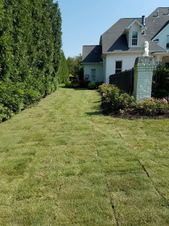 Affordable yard cleanup service in Easley, SC by Garcia Landscape