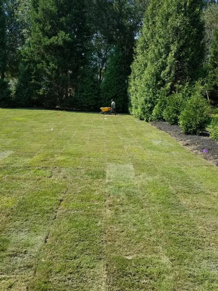 Reliable landscape installation in Easley, SC - Garcia Landscape