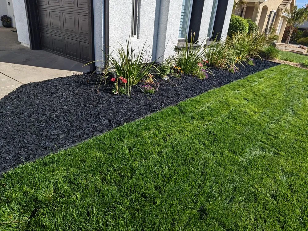 Top-rated yard cleanup service for beautiful yards in Granite Bay, CA by Garcia Landscape