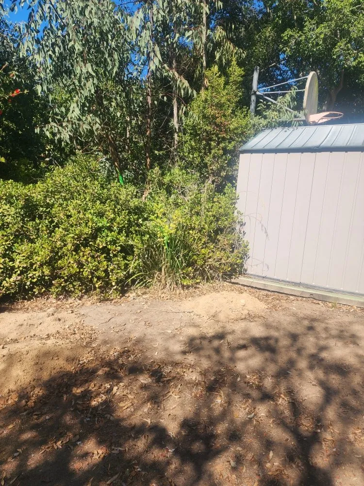 Reliable yard cleanup service for homes in La Mesa, CA by Garcia Landscape