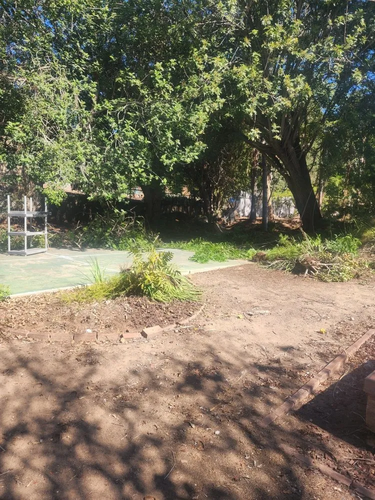 Local residential landscaping for year-round maintenance across La Mesa, CA - Garcia Landscape