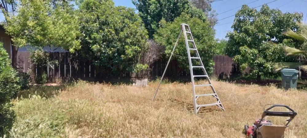 Custom outdoor landscaping for outdoor upgrades across Parlier, CA - Garcia Landscape Maintenance