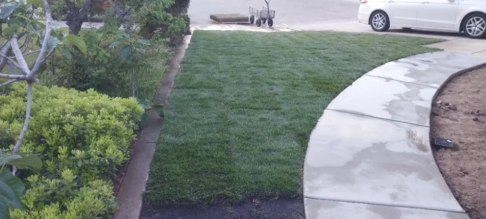 Custom outdoor landscaping experts serving Parlier, CA - Garcia Landscape Maintenance