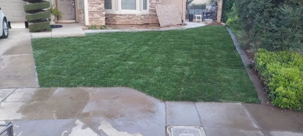 Local yard cleanup service near you in Parlier, CA by Garcia Landscape Maintenance