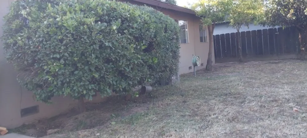 Affordable yard cleanup service in Parlier, CA by Garcia Landscape Maintenance