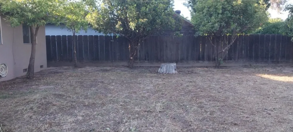 Reliable lawn care service in Parlier, CA by Garcia Landscape Maintenance