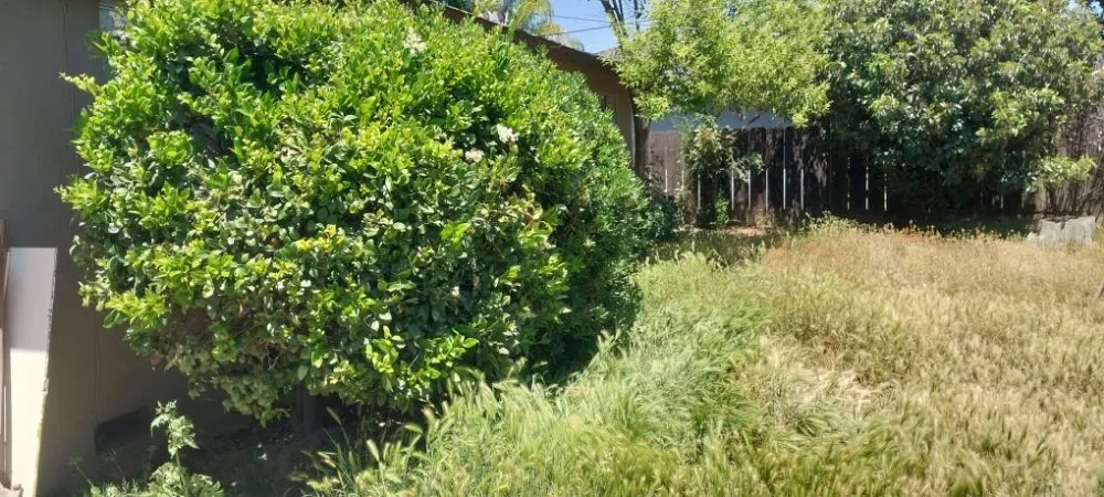 Professional landscaping services in Parlier, CA by Garcia Landscape Maintenance