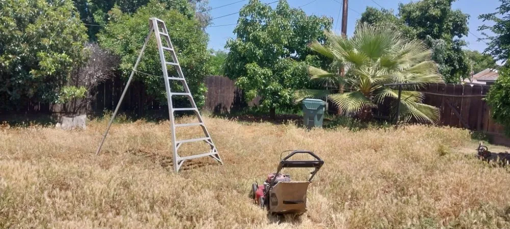 Local outdoor landscaping in Parlier, CA - Garcia Landscape Maintenance