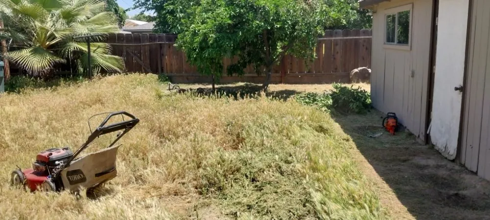 Reliable landscape design in Parlier, CA - Garcia Landscape Maintenance