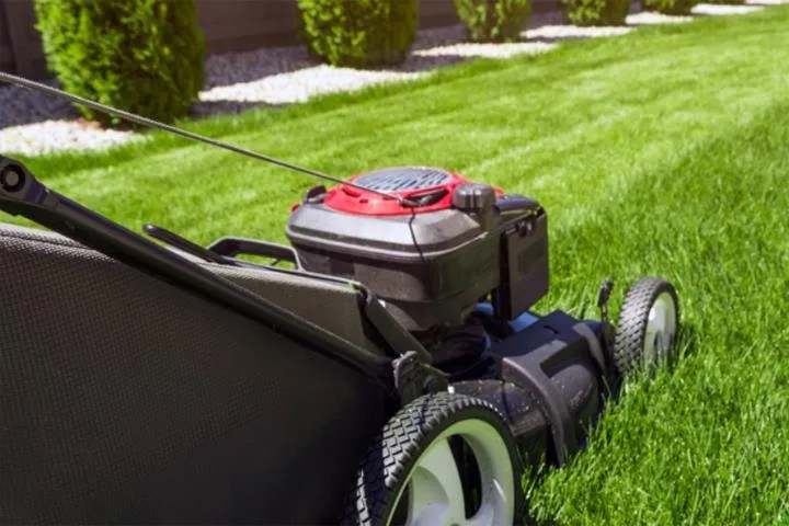 Professional landscaping services for outdoor upgrades across North Chicago, IL - Garcia Landscape Management