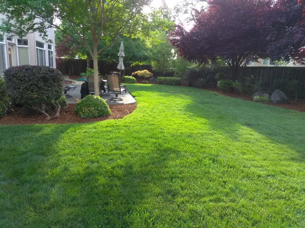 Trusted lawn care service for year-round maintenance across Sacramento, CA - Garcia Landscape