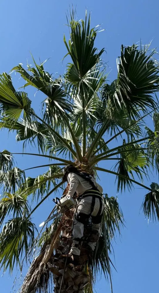 Trusted lawn care service in Sanford, FL by Garcia Landscape