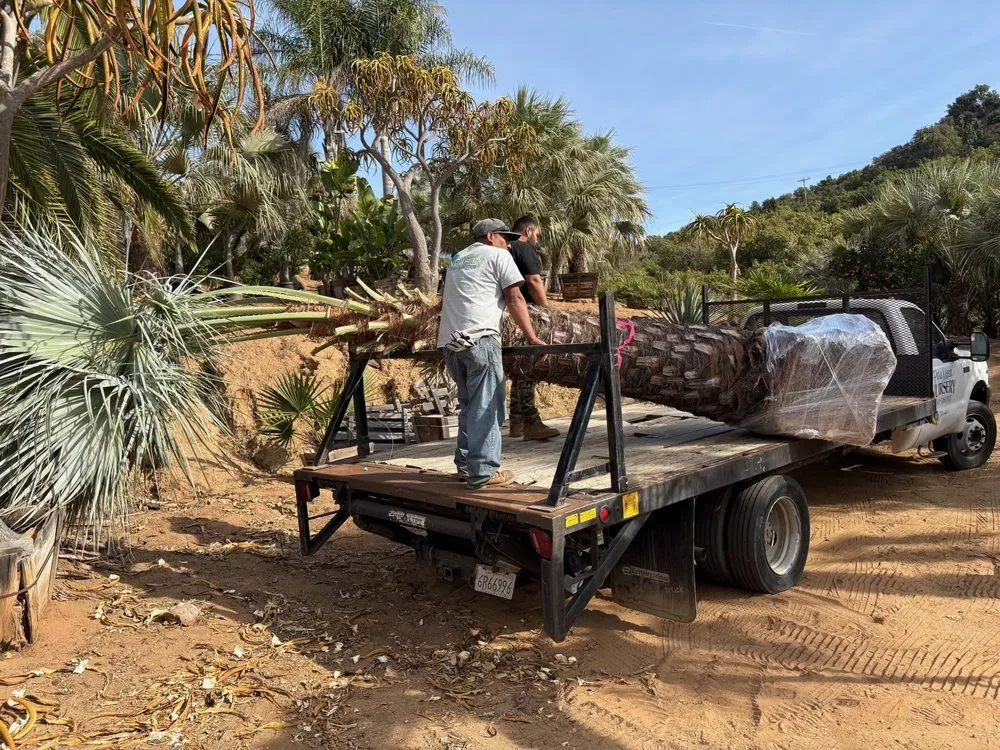 Expert garden landscaping for outdoor upgrades across Thermal, CA - Garcia Landscaping & Construction