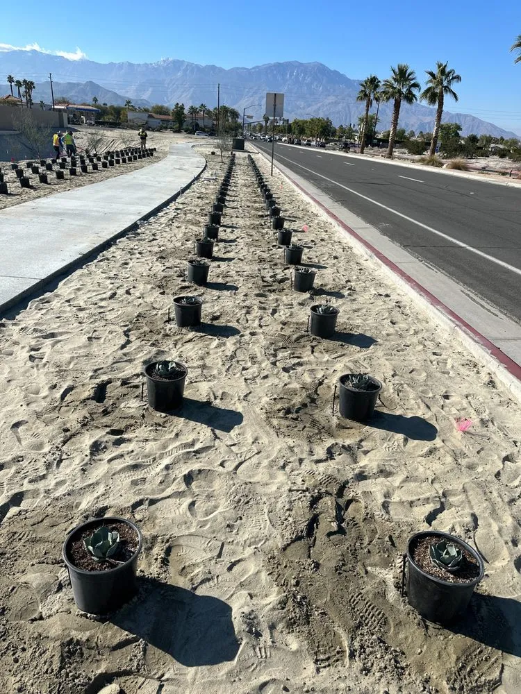 Custom yard maintenance experts serving Thermal, CA - Garcia Landscaping & Construction