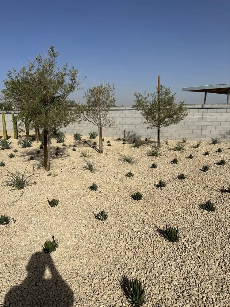 Trusted yard maintenance with custom design in Thermal, CA by Garcia Landscaping & Construction