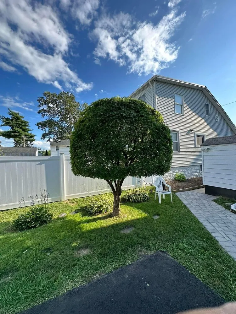 Custom landscape installation for homes in Scotch Plains, NJ by Garcia Landscaping & Hardscaping
