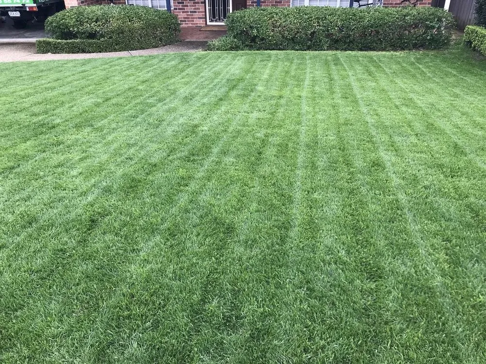 Affordable yard maintenance near you across Rochester, NY - Garcia Landscaping & Lawn Care