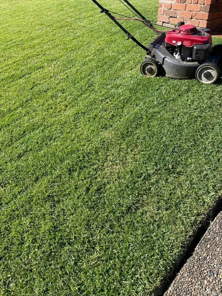 Trusted landscape design for beautiful yards in Rochester, NY by Garcia Landscaping & Lawn Care