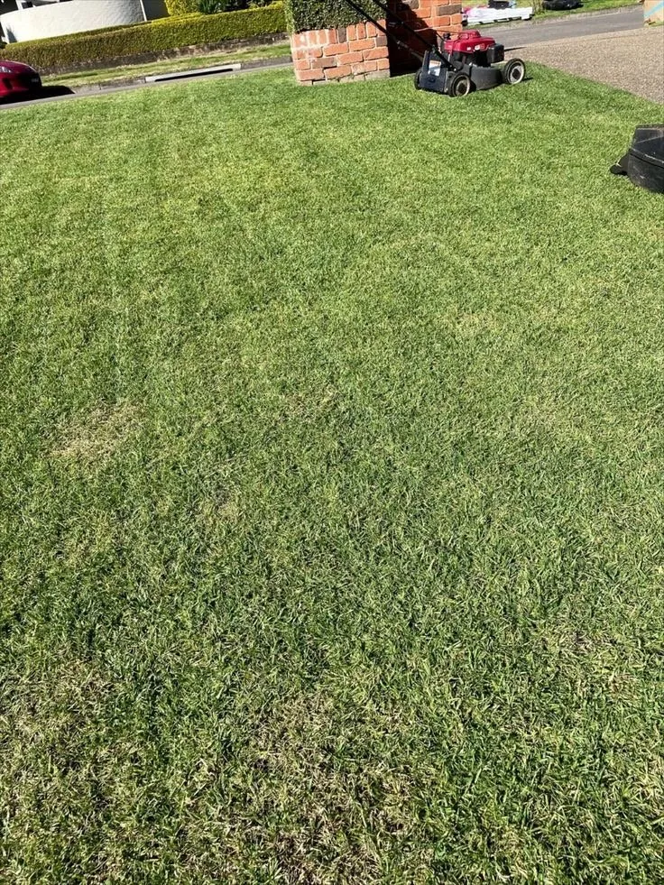 Local lawn care service for beautiful yards across Rochester, NY - Garcia Landscaping & Lawn Care