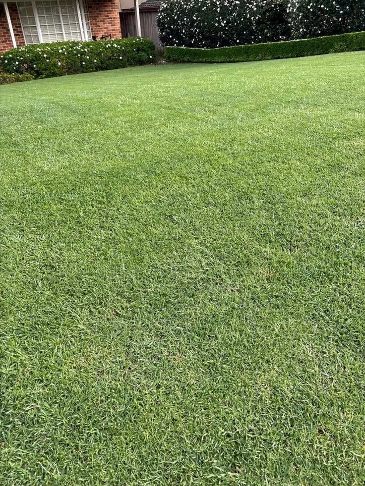 Local lawn care service for residential properties in Rochester, NY by Garcia Landscaping & Lawn Care