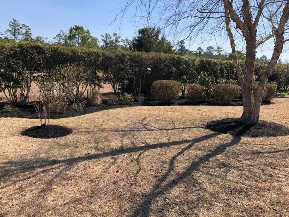 Expert yard maintenance for outdoor upgrades across Supply, NC - Garcia Landscaping & Lawncare