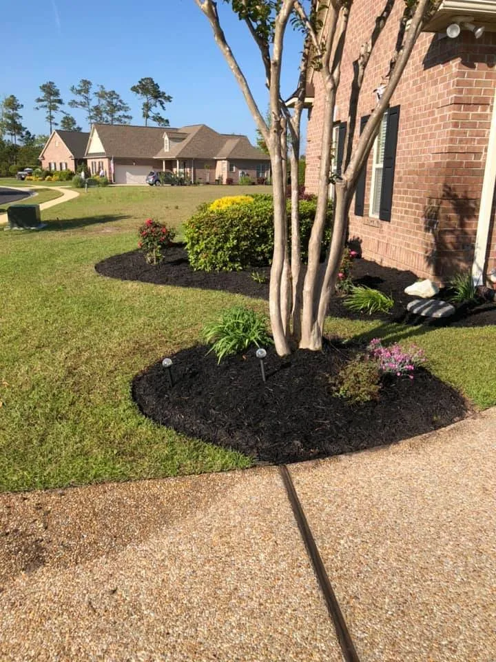 Professional yard cleanup service in Supply, NC by Garcia Landscaping & Lawncare