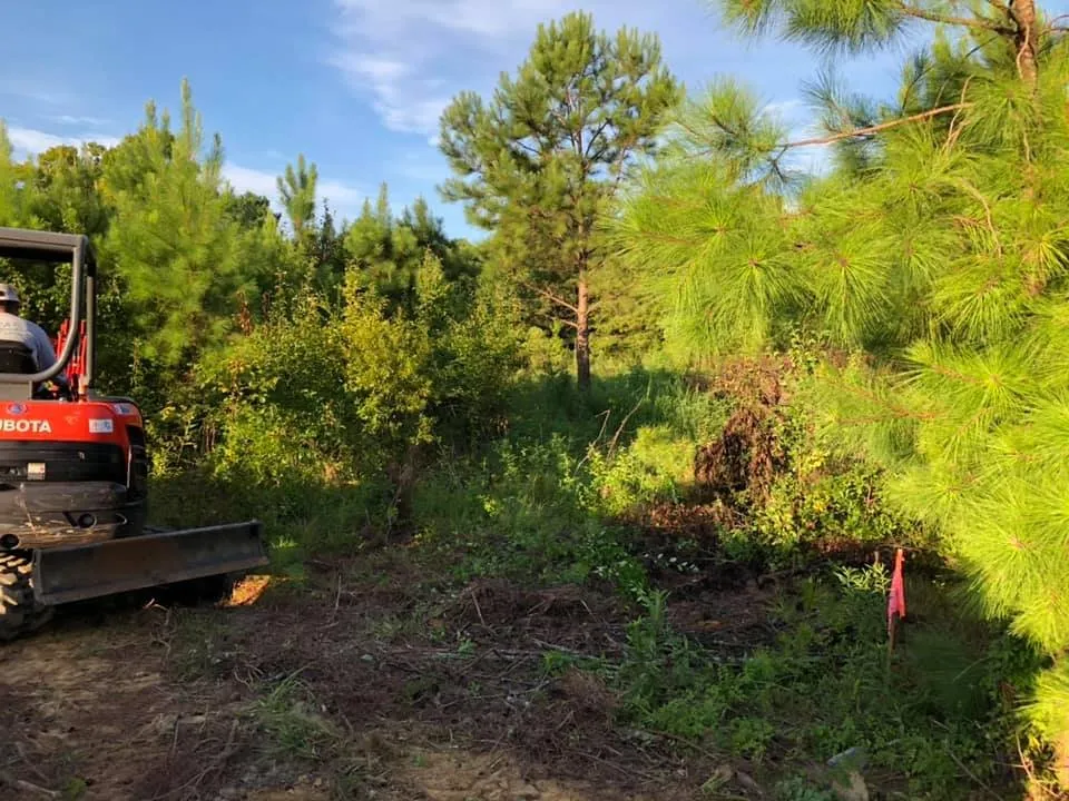 Professional residential landscaping in Supply, NC - Garcia Landscaping & Lawncare