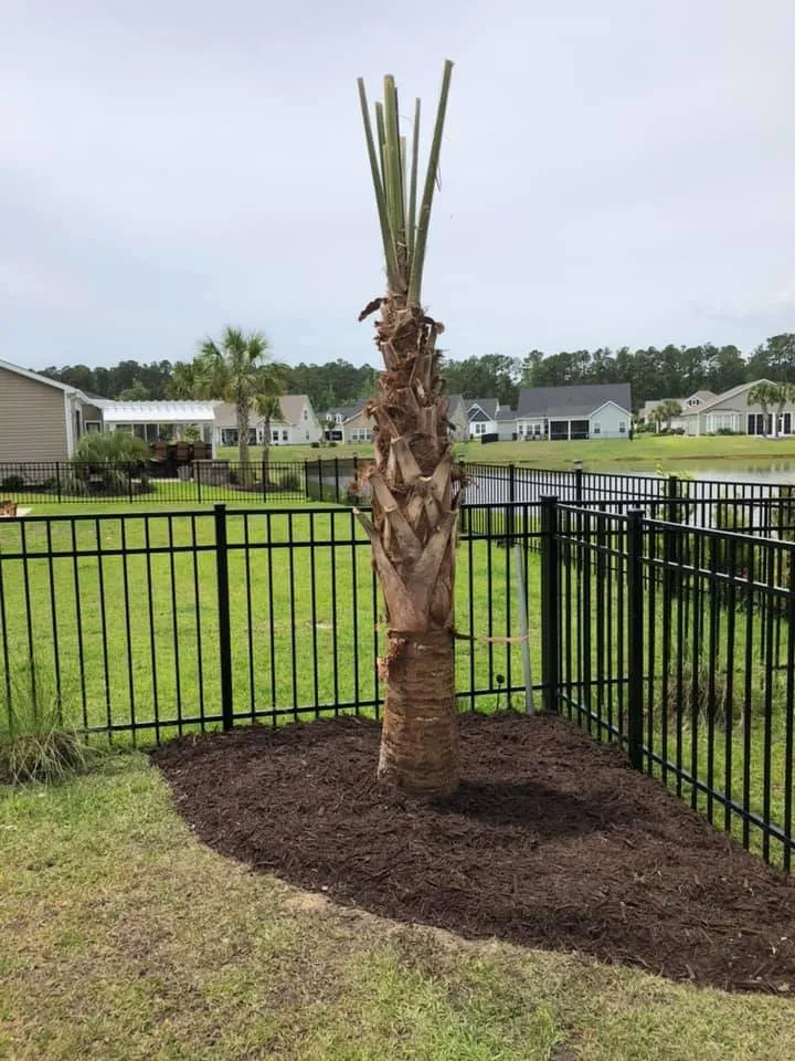 Expert outdoor landscaping in Supply, NC by Garcia Landscaping & Lawncare