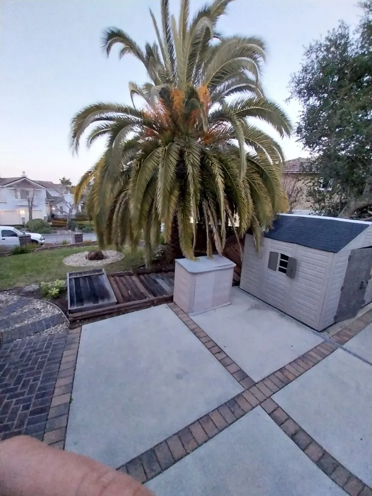 Affordable residential landscaping experts serving Redwood City, CA - Garcia landscaping and Garden Service