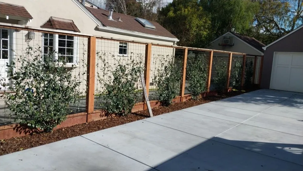 Custom garden landscaping for residential properties in Redwood City, CA by Garcia landscaping and Garden Service