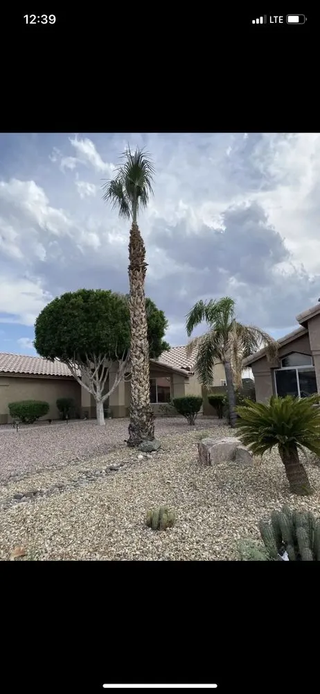 Custom landscaping services experts serving Apache Junction, AZ - Garcia Landscaping