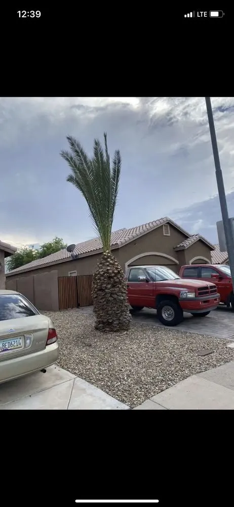 Expert landscape design in Apache Junction, AZ by Garcia Landscaping