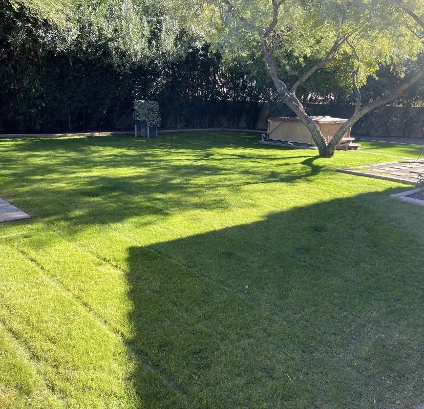 Expert yard cleanup service for homes across Apache Junction, AZ - Garcia Landscaping
