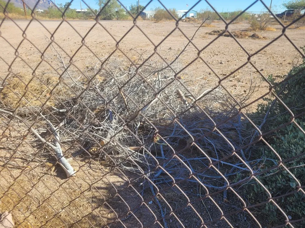 Expert landscape installation in Apache Junction, AZ - Garcia Landscaping
