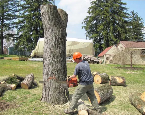 Trusted landscape installation near you across Coatesville, PA - Garcia Landscaping