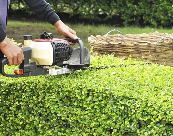 Top-rated landscaping services near you across Coatesville, PA - Garcia Landscaping