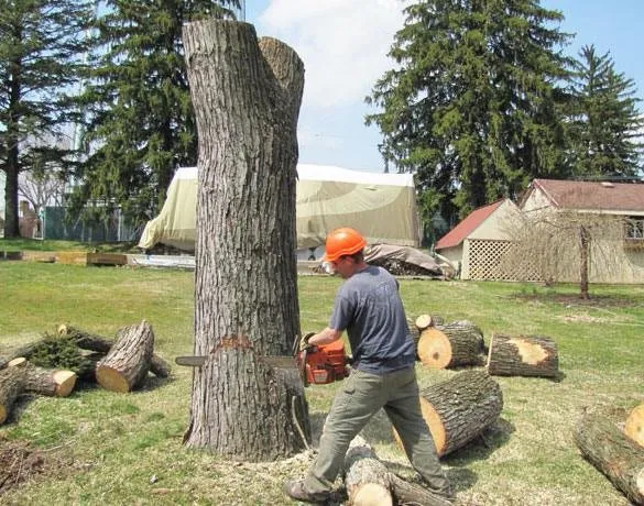 Affordable garden landscaping in Coatesville, PA - Garcia Landscaping