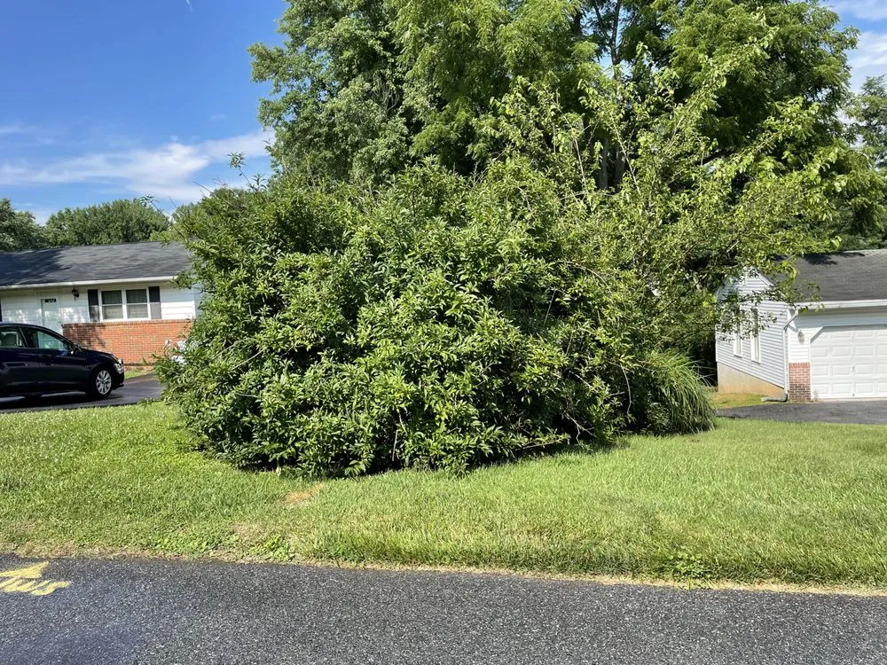 Expert outdoor landscaping in Elkridge, MD by Garcia Landscaping