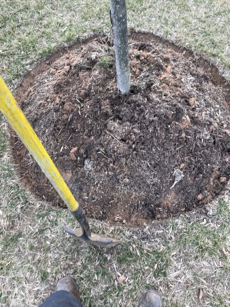 Custom landscaping services with custom design across Elkridge, MD - Garcia Landscaping