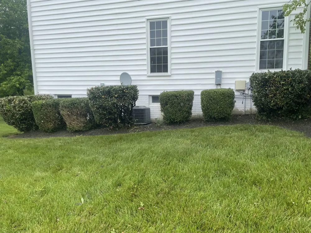 Professional garden landscaping for year-round maintenance in Elkridge, MD by Garcia Landscaping