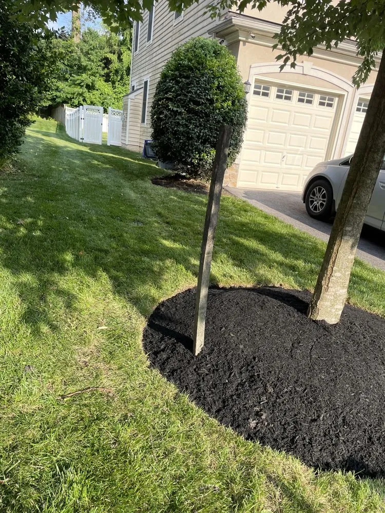 Trusted yard cleanup service near you across Elkridge, MD - Garcia Landscaping