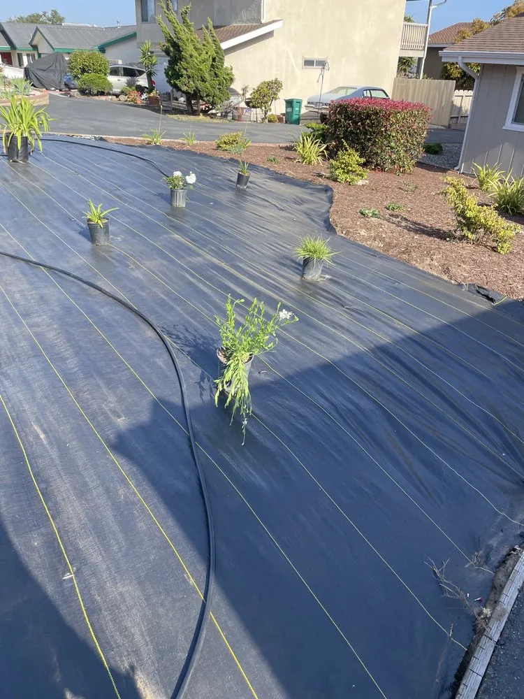 Professional yard cleanup service near you across Grover Beach, CA - Garcia Landscaping