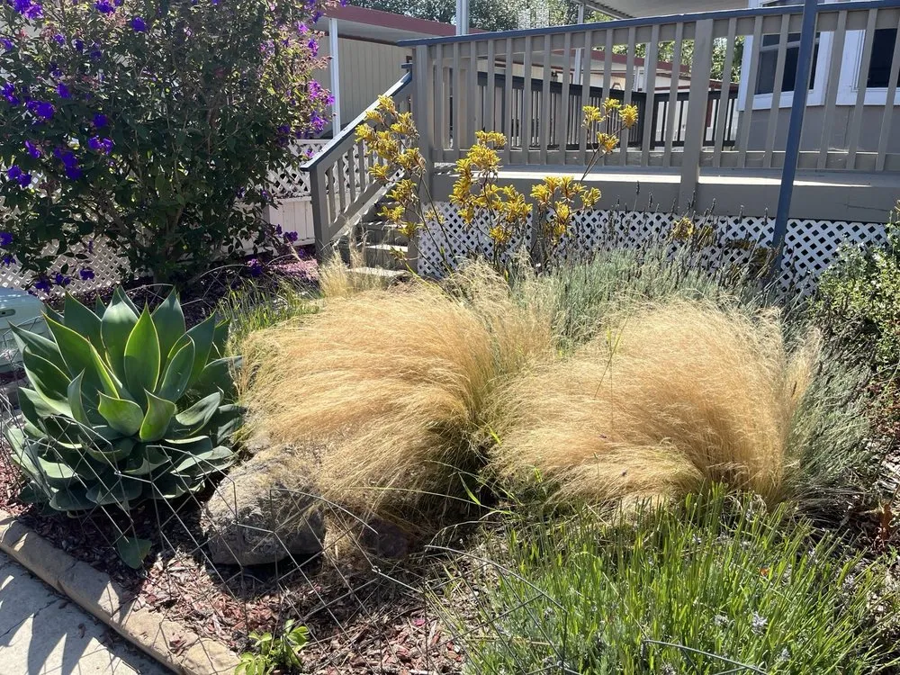 Expert yard maintenance in Grover Beach, CA - Garcia Landscaping